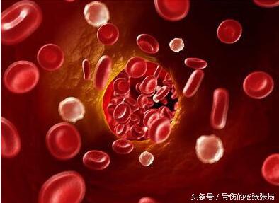 贫血补气血的小妙招,贫血如何补有奶吃