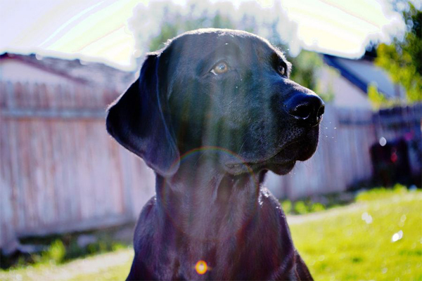 有什么事不是一根烟能解决的,什么事有一根烟解决不了的