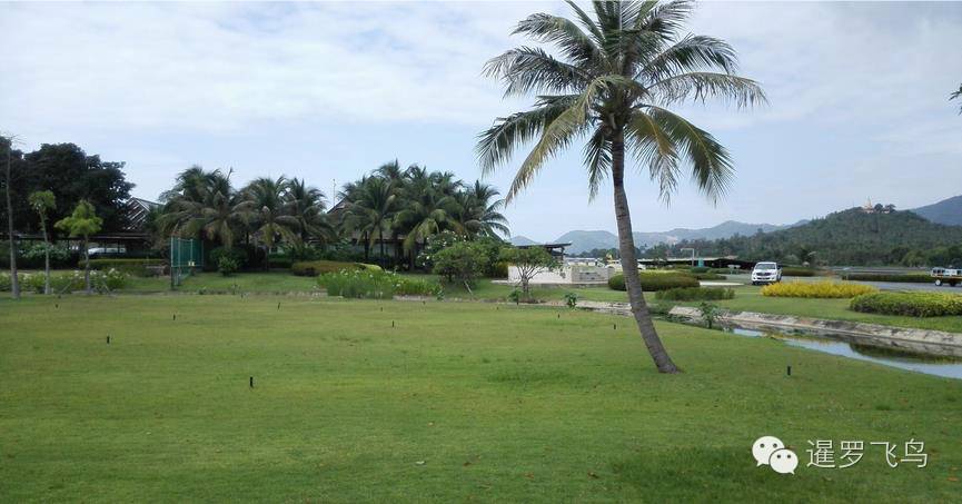 世界上最美的机场跑道,世界上最美的机场