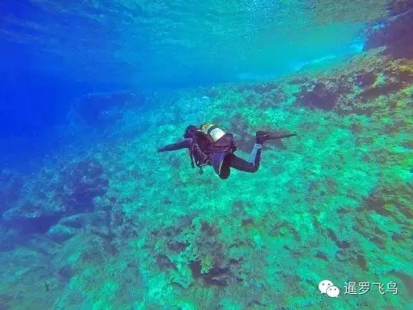 泰国沙美岛潜水有套路吗,泰国普吉岛潜水泳镜