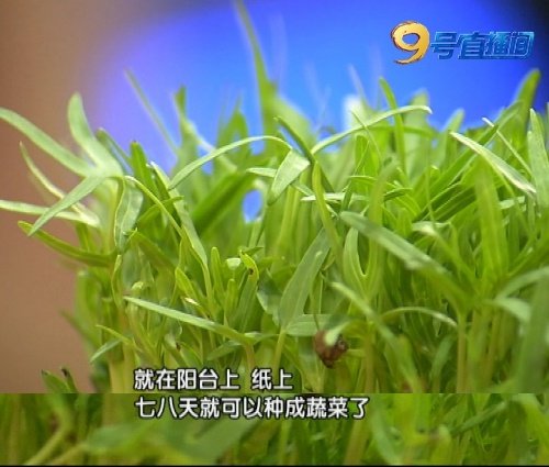 缁胯壊鍏变韩鑿滃洯,缁胯壊鍐滃満鍏变韩鑿滃洯