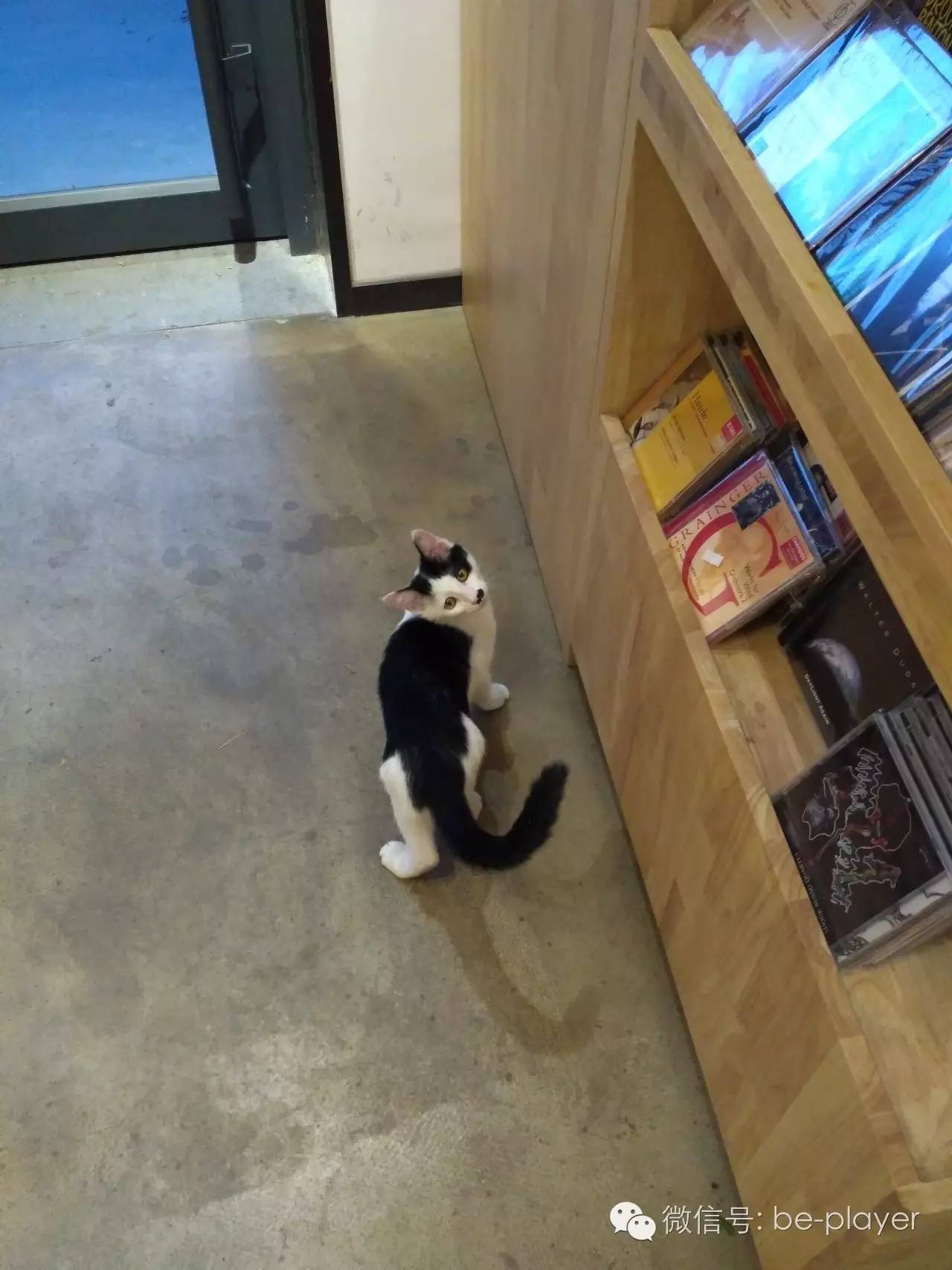 讨厌快阅读的你,可以去“摘刺”转转