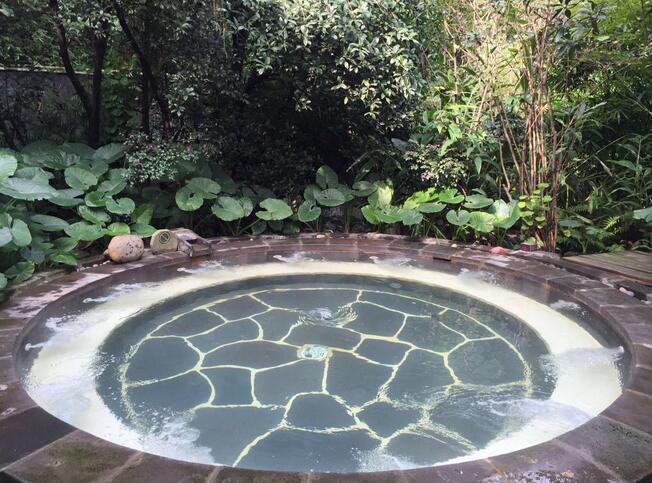 2020重庆泡温泉的好地方,重庆哪里适合泡温泉度假