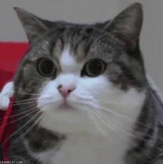 怎么去除黑眼圈又简单又有效,有什么去除黑眼圈的好办法