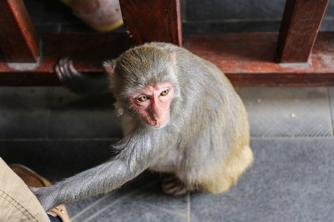 海南｜五天四晚，带着女儿环岛度假旅行（内附详细攻略）