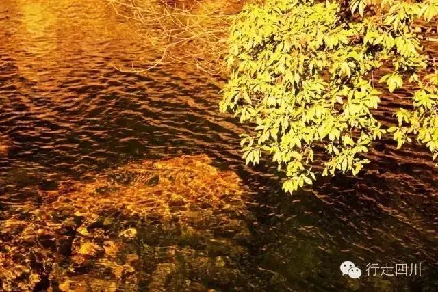 四川景点必去十大景点五月,四川5-6月最美的地方