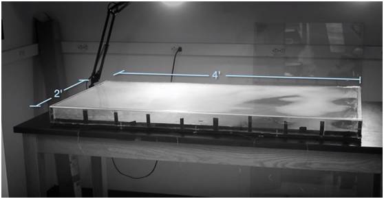 超级细菌1完整版视频,超级细菌入侵人体