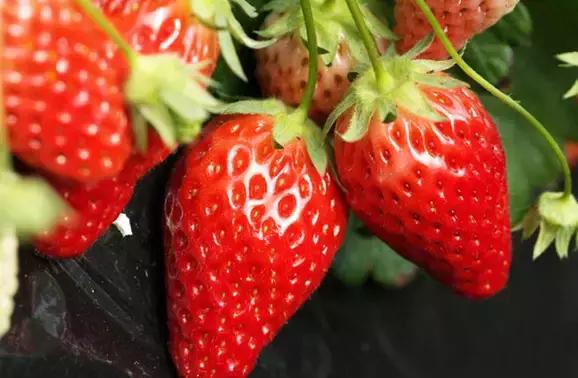 最有价值的预防疾病的水果,十大抗癌水果排名及功效