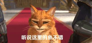 舟小九南京传统酸菜鱼,南京酸菜鱼推荐必吃