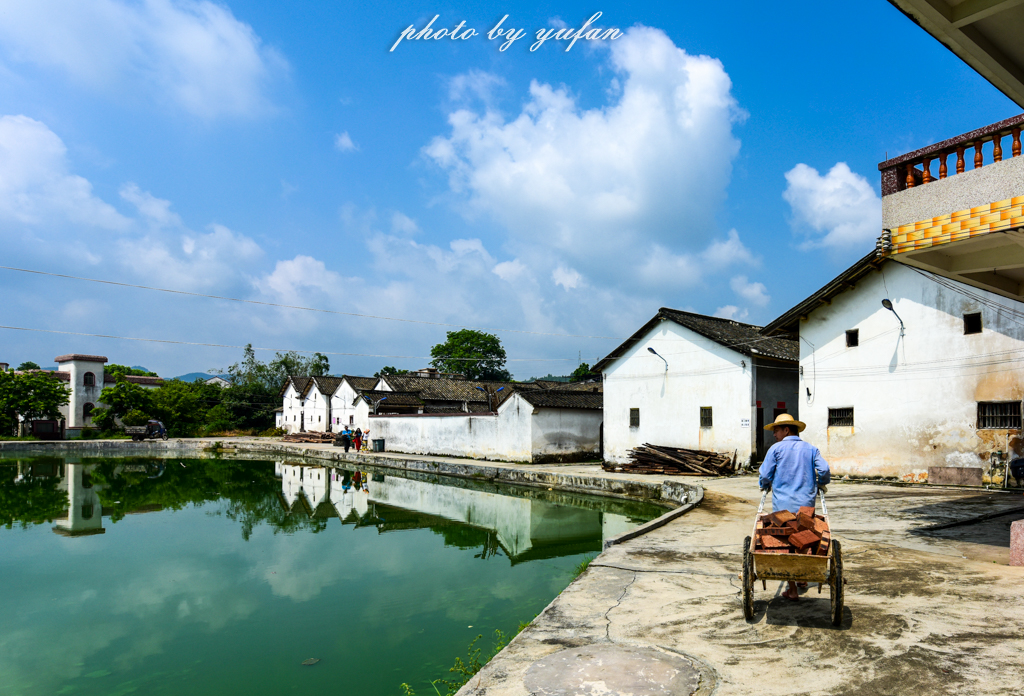 丝路奇迹:观围屋之典范,赏苏铁之传奇