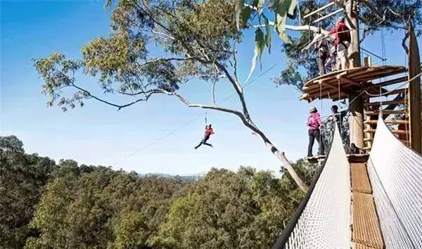 清远长隆森林主题乐园亚洲最大,广东清远长隆游乐园攻略