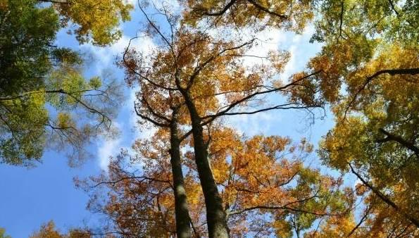 四川十大最黑景点,四川最土的景点