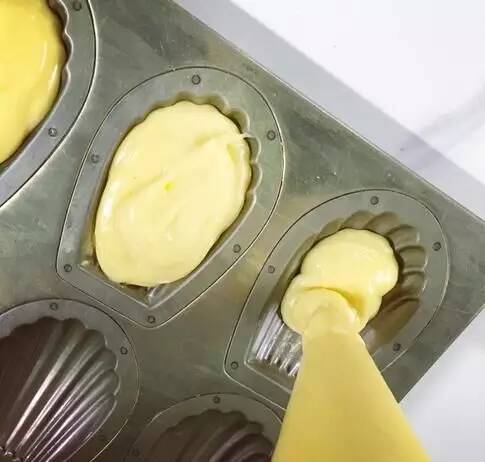 玛德琳模具新款,玛德琳模具单个