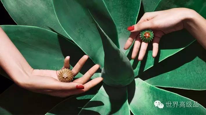 卡地亚cdecartier戒指,卡地亚珠宝获奖经典款