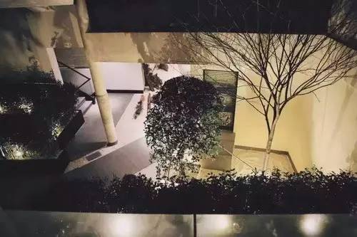 最美民宿西塘,这家民宿环境真好