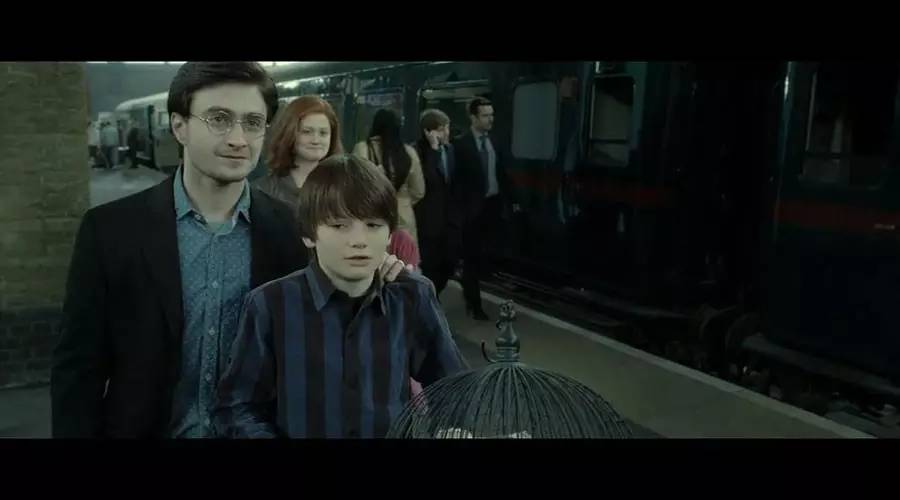 哈利波特霍格沃茨最温柔的教授,霍格沃茨哈利波特在哪个学院