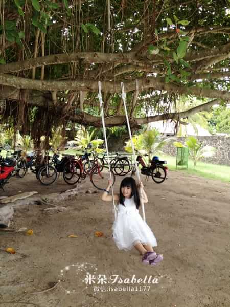 毛里求斯的日常,孤独的毛里求斯