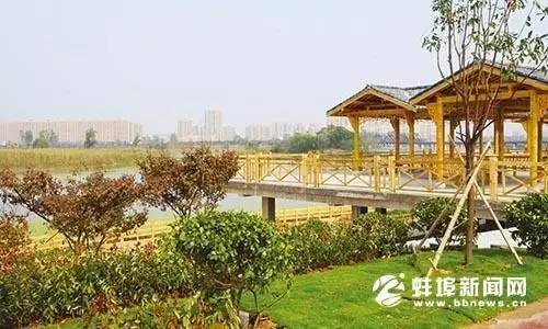 40年前蚌埠有多辉煌,这五年来我们都有哪些进步