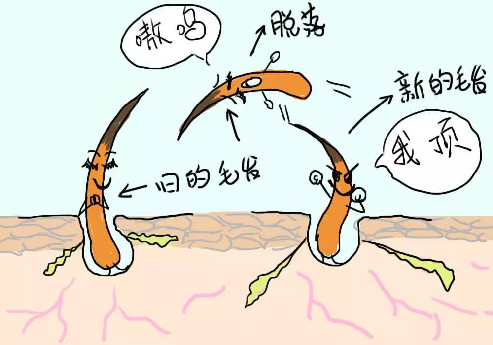 家里毛毛飞到处怎么处理,冬季家里毛毛多怎么处理