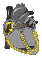 一张能看出智商的图,一张图看懂高智商图