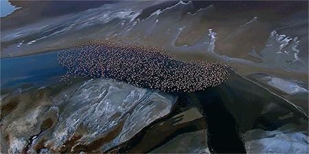 身价数十亿的他除了去无人区摄影，险些丧命，还用了6年时间和30多位石艺老匠人打造了一家不想挣钱的艺术馆