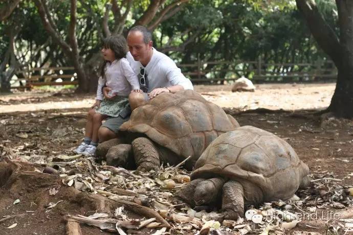 为出游做准备│关于免签和落地签看这一篇就够了