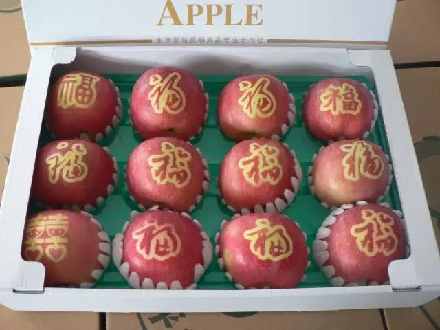 昌平区农业示范园采摘苹果,北京昌平苹果最佳采摘期