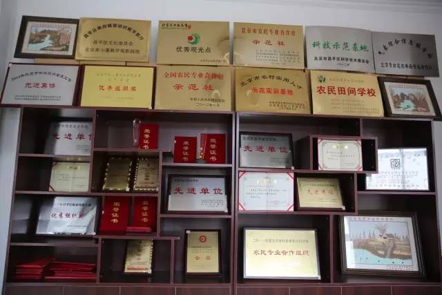 昌平区农业示范园采摘苹果,北京昌平苹果最佳采摘期