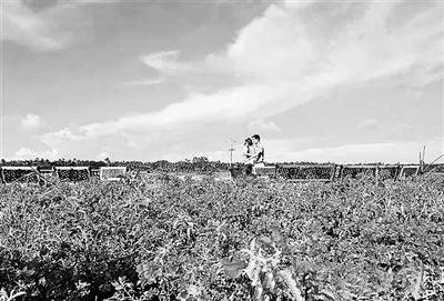 国庆美食一日游,国庆旅游各地美食推荐