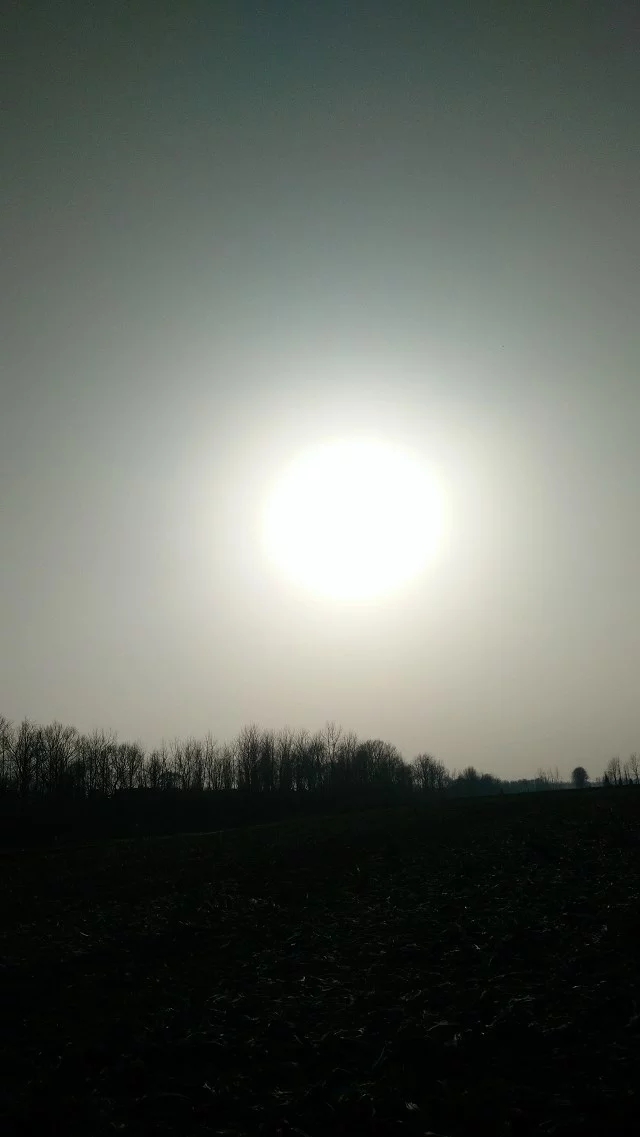 夕阳的光影是捕捉不住的,夕阳的光影音乐视频