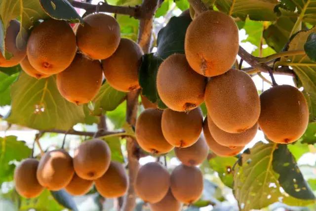 羊亭附近景点攻略,羊亭有什么玩的地方