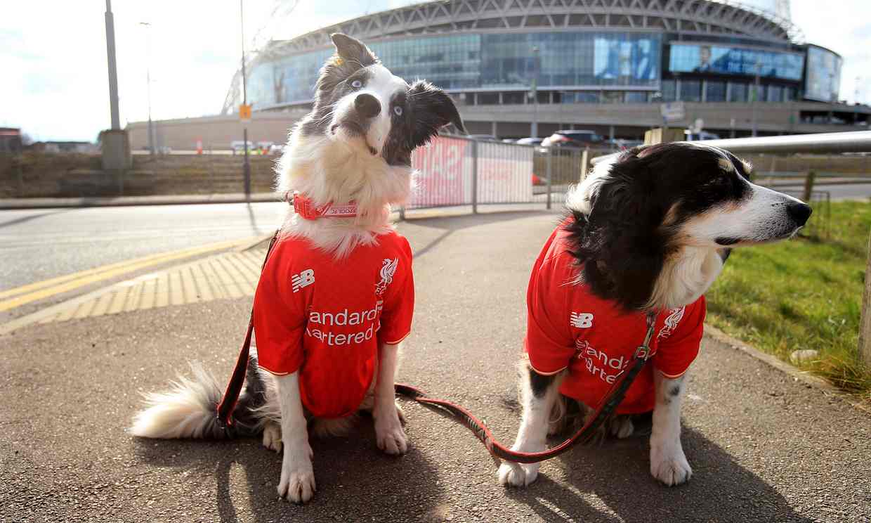 讲道理足球,足球讲道理