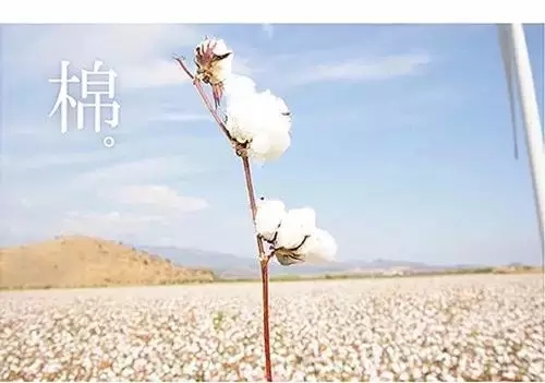 种草|无印良品（MUJI）有哪些东西值得买？哪些想吐槽？