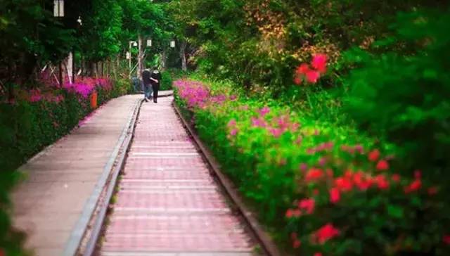 为什么年轻人还没离开厦门,多少人离开了厦门