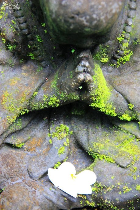 巴厘岛日常艺术照,巴厘岛顶级艺术