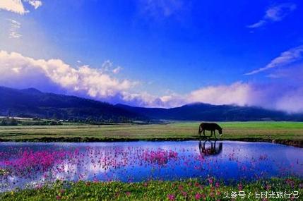 丽江旅游的正确方法是什么,关于云南丽江旅游攻略知识