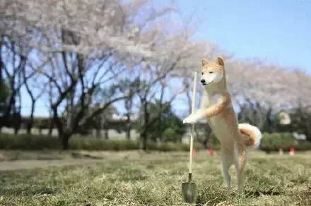 在日本买到假货,日本假货最新处理方法