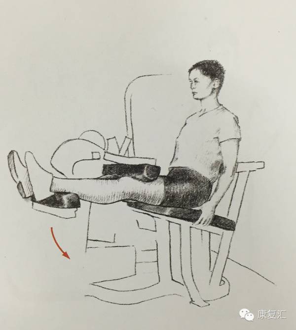 前交叉韧带重建术后还能打球吗,前交叉韧带重建术后康复训练pdf