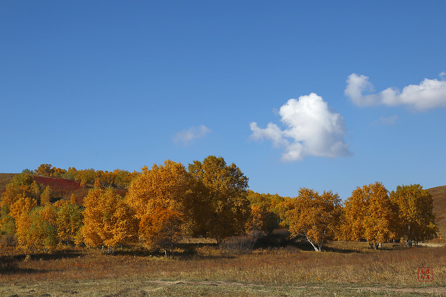 坝上草原雪景航拍,坝上草原秋景美图