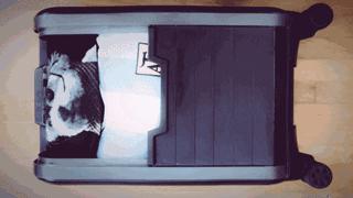 不买好行李箱,rimowa行李箱怎么选择