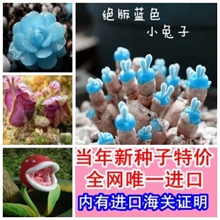 一招识破谎言的方法,什么是避免被骗的有效方法