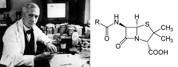 超级细菌1完整版视频,超级细菌入侵人体