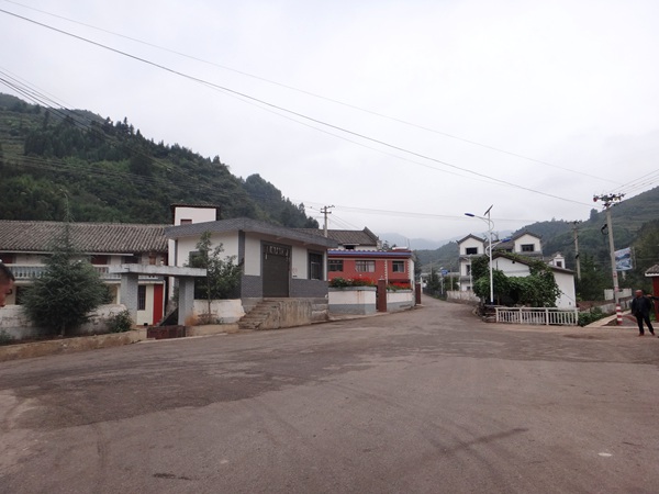 村环境卫生整治活动效果,竹园社区环境卫生整治