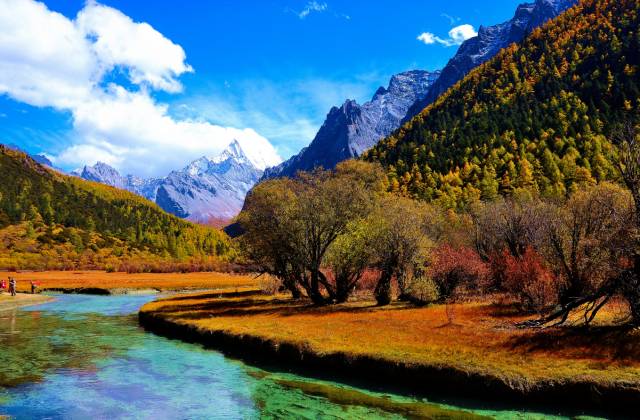 不需要知道你离世的理由，只愿你在天堂能重展笑容！