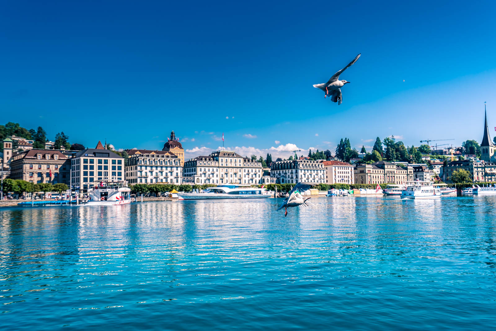 airbnb必住,airbnb怎样入驻