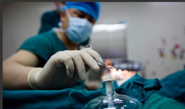 为什么大家都喜欢大眼睛双眼皮,为什么大家喜欢做双眼皮手术