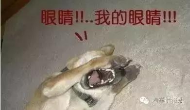 二手车丑陋的一面,二手车市场黑心车