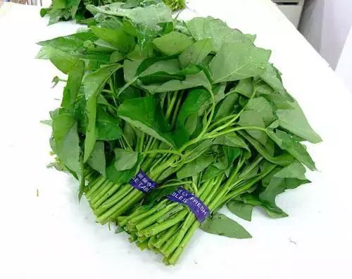 24种健康养生的食物,十种营养养生食物身体保健必备