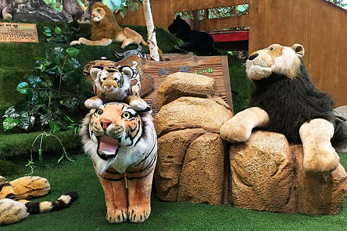 泰迪熊博物馆在韩国哪里,泰迪熊博物馆济州中文馆