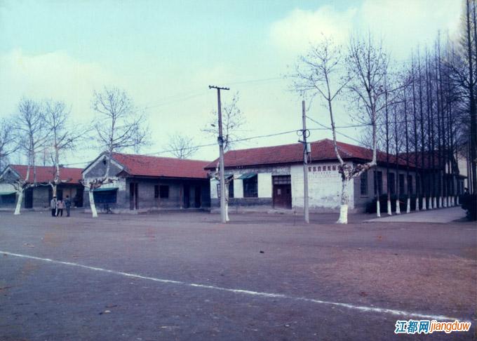 江都中学和大桥中学哪个好,那些年我们上过的历史课